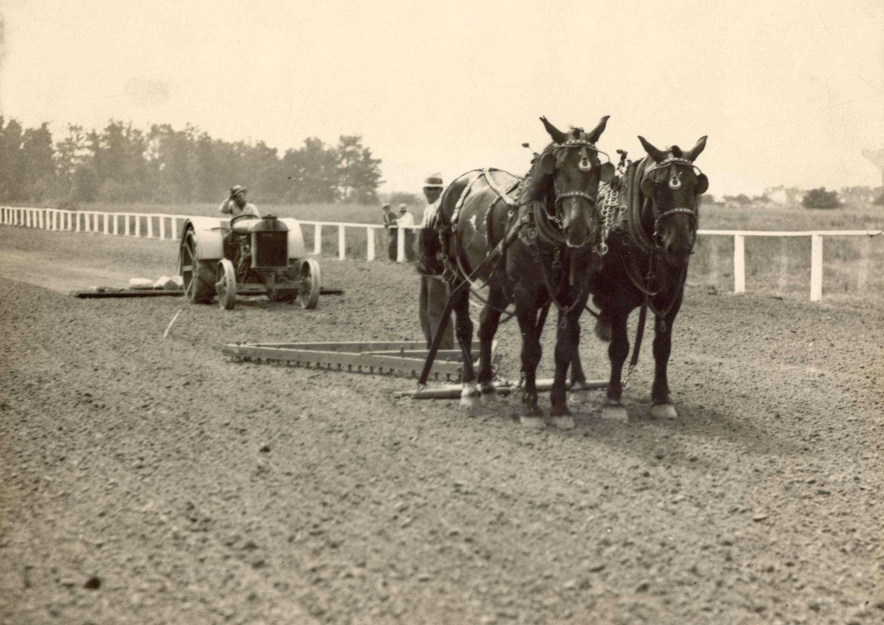 tractor%20%26%20horse-drawn%20ploughs%20grooming%20infield%20of%20the%20Kenilworth%20race%20track